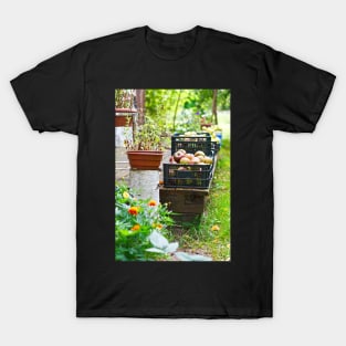 Harvest time, apples in plastic basket on vintage wooden terrace T-Shirt